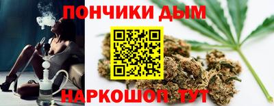 шишки Усть-Джегута