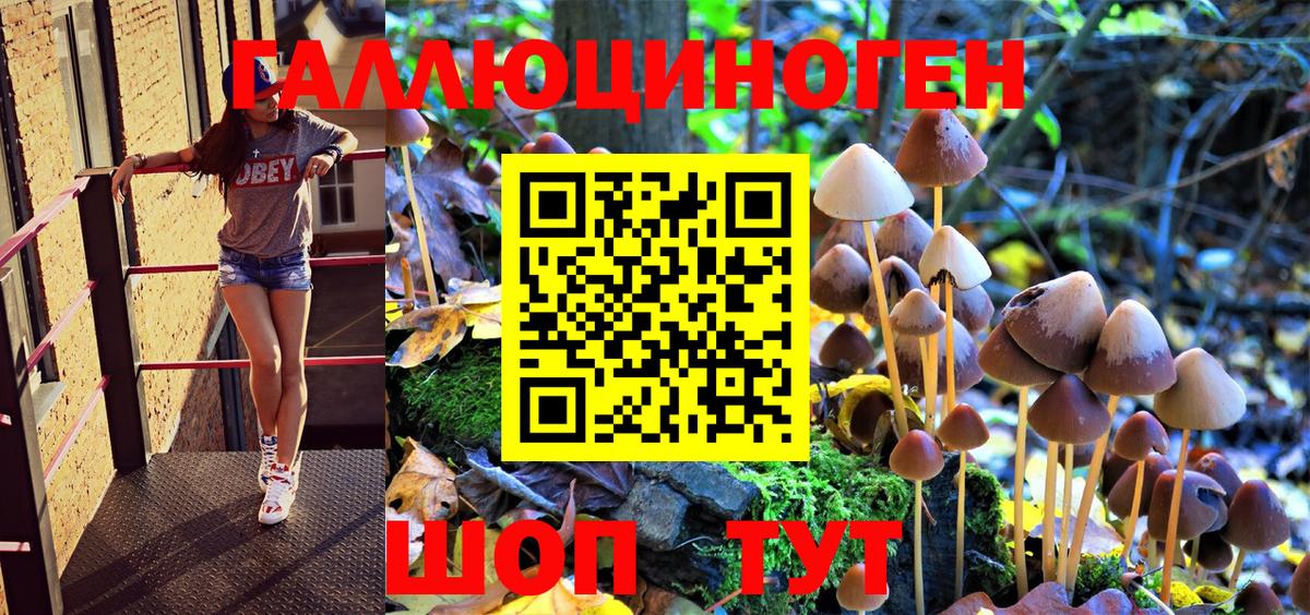 Галлюциногенные грибы прущие грибы  Псилоцибиновые грибы MAGIC MUSHROOMS  Вход с VPN  Павловский Посад 